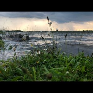 Meet your Posher, Courtney